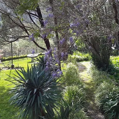 Guest house Quinta De Sao Thiago Sintra