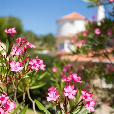 Acomodação com café da manhã  Quinta Do Cabo 4*
