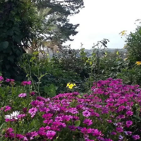 Quinta Colina Flora * Sintra