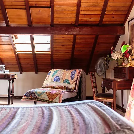 Guest house Shepinetree - Pinheira Vale de Lobos
