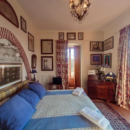 Shepinetree - Pinheira Guest house 3*