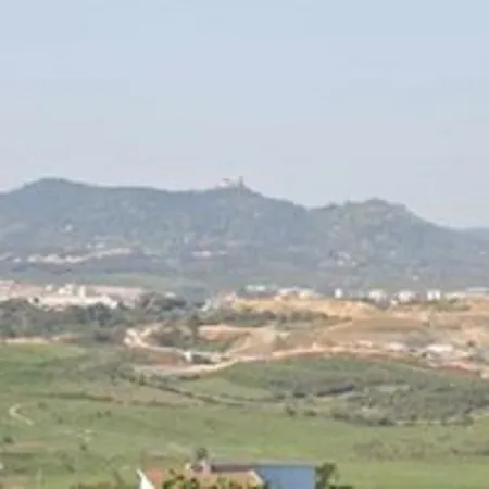 Shepinetree - Pinheira Vale de Lobos
