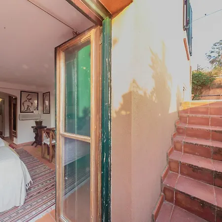 Guest house Shepinetree - Pinheira Vale de Lobos