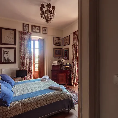 Shepinetree - Pinheira Guest house 3*