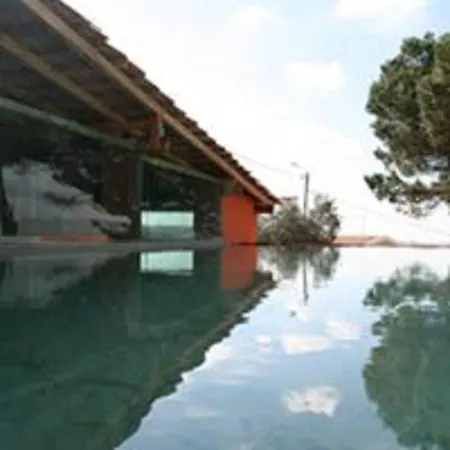 Shepinetree - Pinheira Guest house 3*