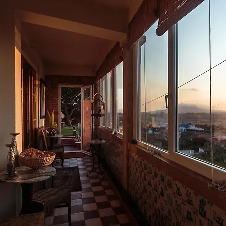 Guest house Shepinetree - Pinheira