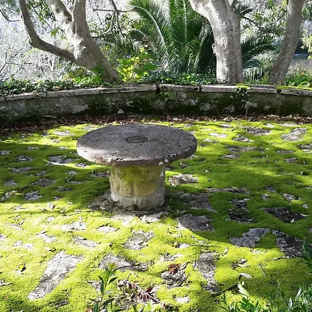 Guest house Quinta De Sao Thiago 3*