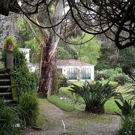 Guest house Quinta De Sao Thiago 3*