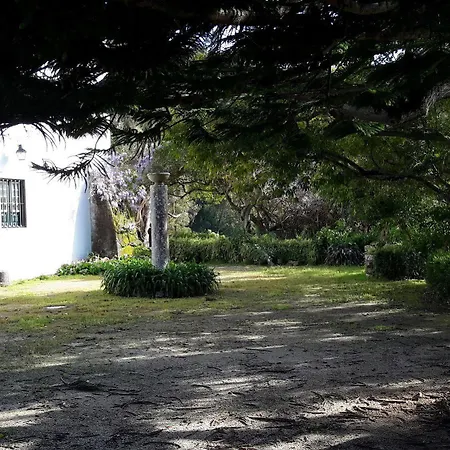 Guest house Quinta De Sao Thiago Sintra