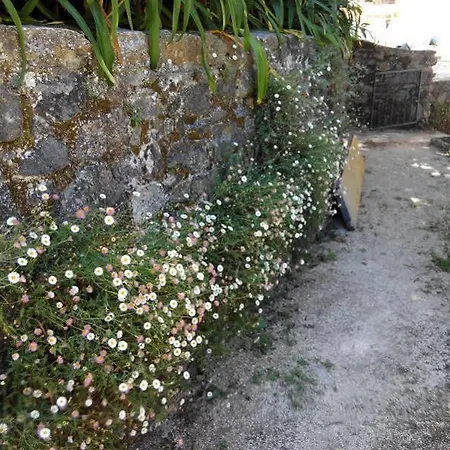 Dos Poetas Bed & Breakfast Sintra