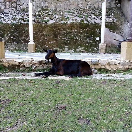 Casa de hóspedes Quinta Do Castanheiro