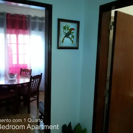 Akicity Moss Apartment