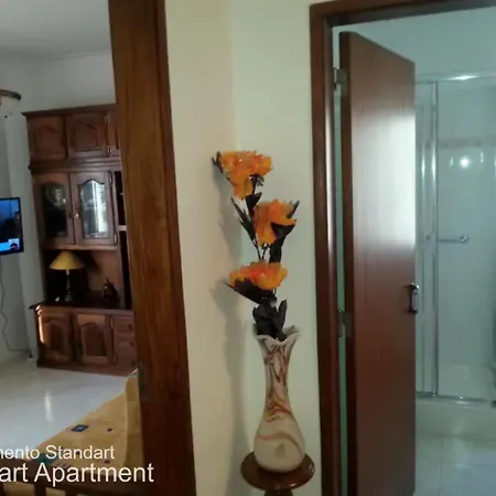 Akicity Moss Apartment