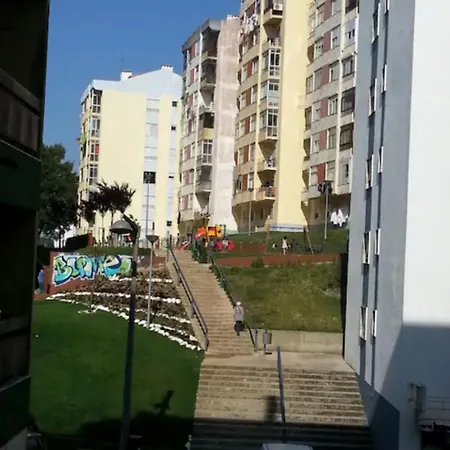 Akicity Moss Apartment
