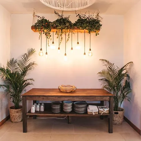Bed & Breakfast Dreamsea Surf