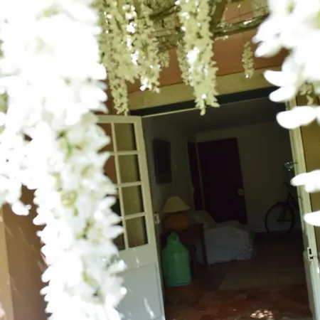 Quinta Da Varzea Holiday home *