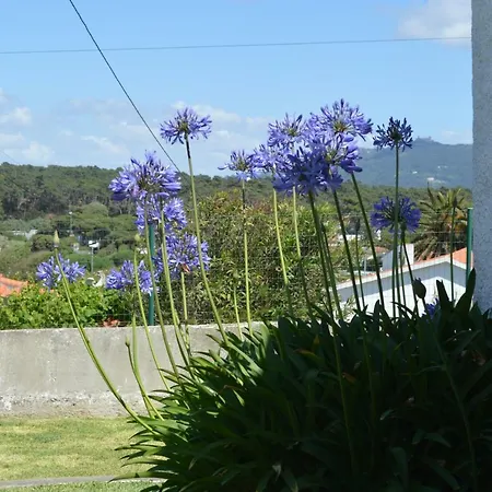 Casalinho De Santo Antonio *