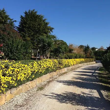 Country house Quinta - Sintra