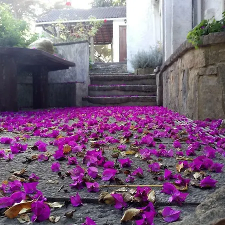 Quinta Dos Lagos - Al Guest house