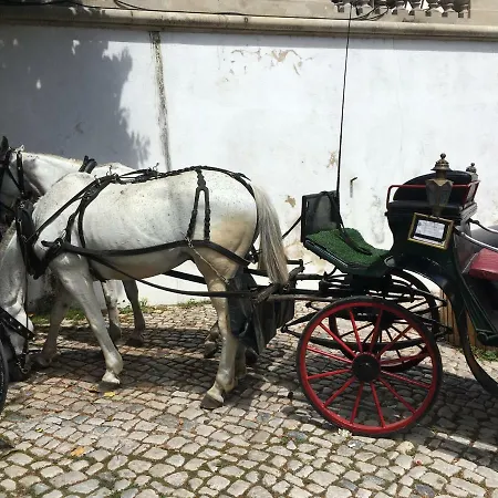 Family House Adraga Sintra