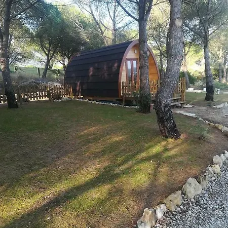 Guest house Glamping