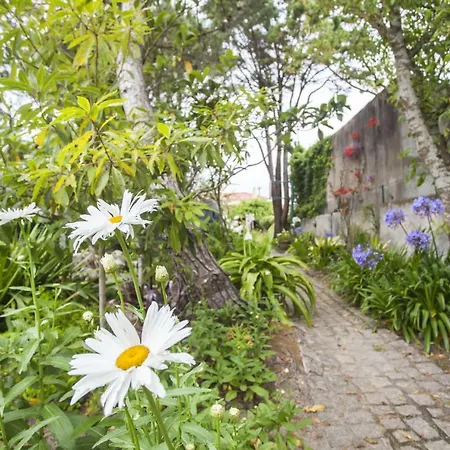 Beautiful Country House&romantic Garden Sintra