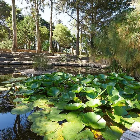 Quinta Dos Lagos - Al Sintra