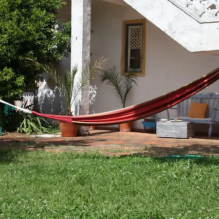Pine House 3*