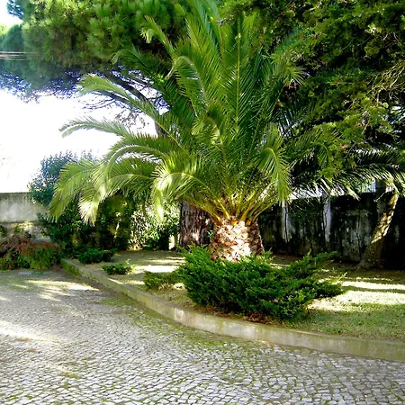 Pine House Sintra
