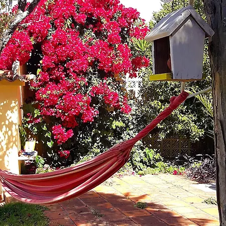 Pine House 3* Sintra