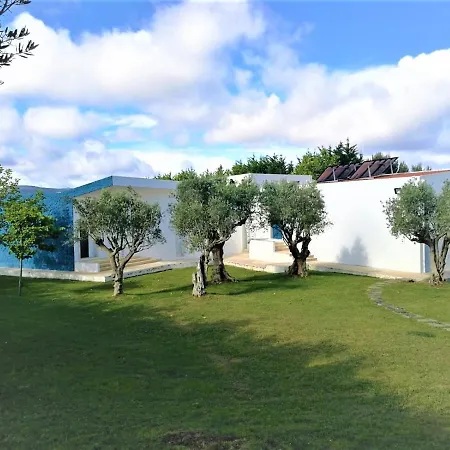 Oliveiras * Sintra