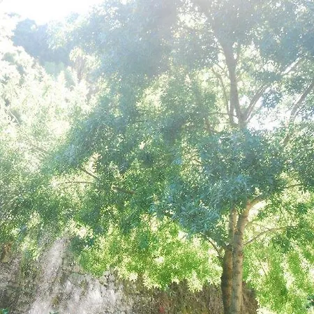 Quinta Da Caloura * Sintra