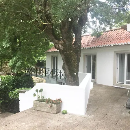 Center Escape To Nature Guest house Sintra