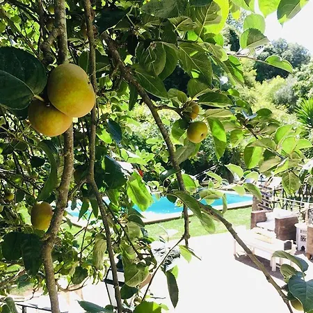 Center Escape To Nature Guest house *