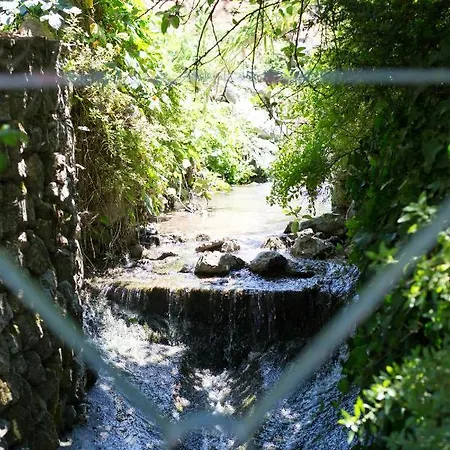 Guest house Center Escape To Nature *