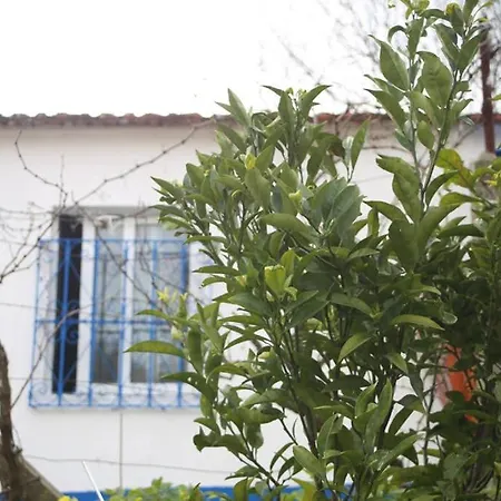 Nomad Apartamento