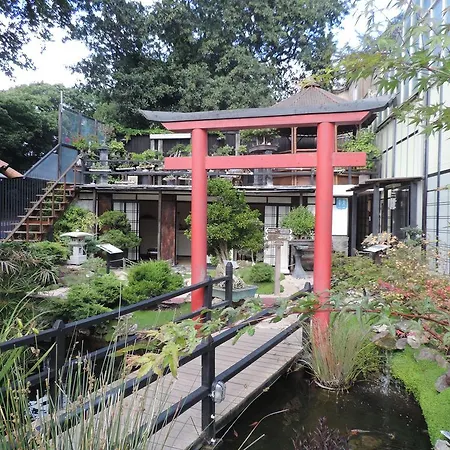 Zen - Museu Do Bonsai