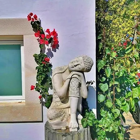 Hibisco - Quinta Casalinho Da Azenha Bed & Breakfast Sintra