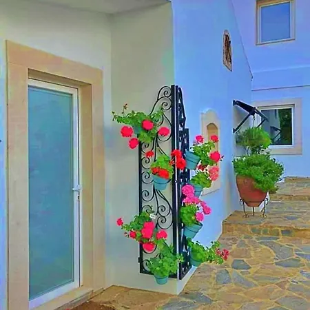Bed & Breakfast Hibisco - Quinta Casalinho Da Azenha *