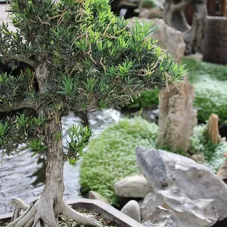 Zen - Museu Do Bonsai Apartment