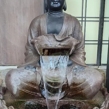 Zen - Museu Do Bonsai Sintra