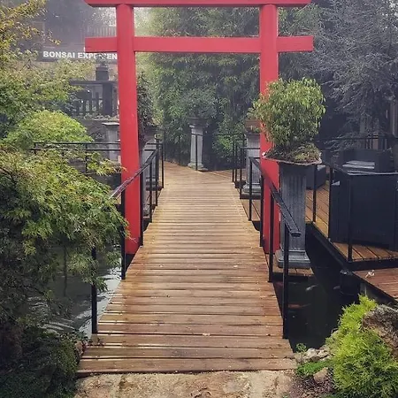 Zen - Museu Do Bonsai *