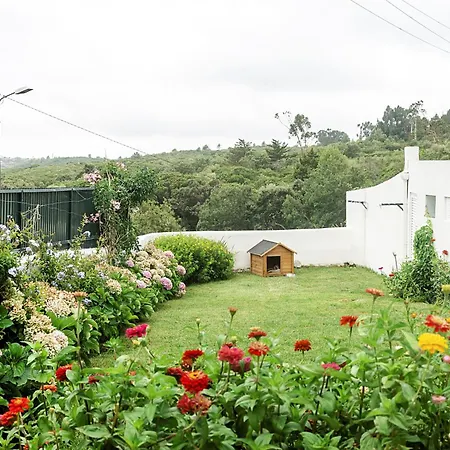 Casa De Sao Jose Holiday home Sintra
