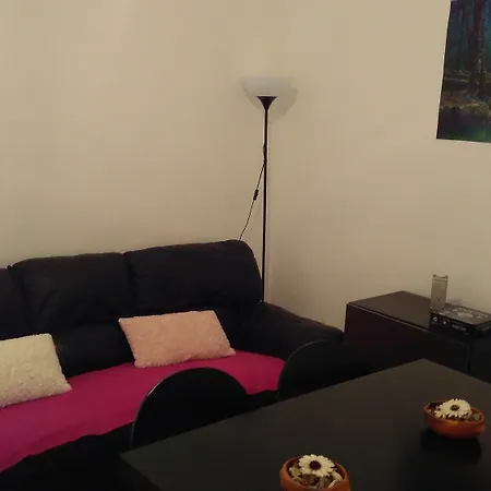 Cats House Hotel 3*