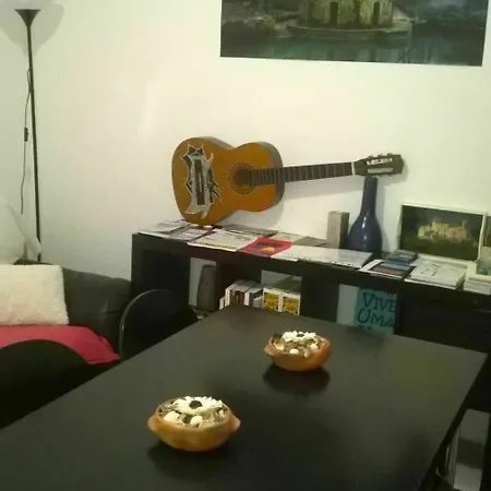 Cats House