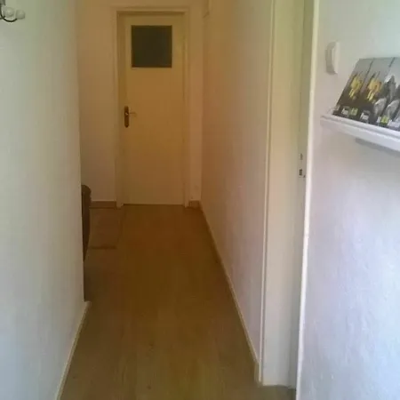Cats House Sintra