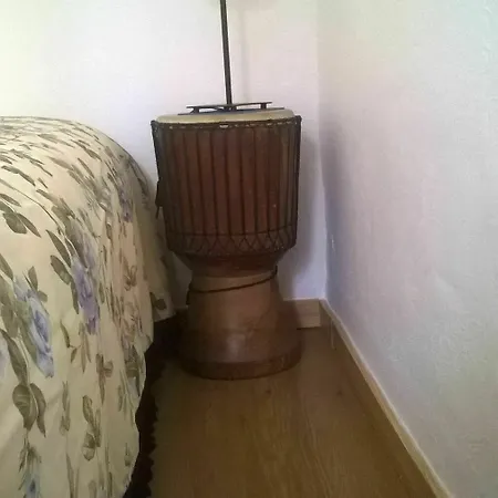 Cats House 3*