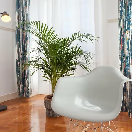 Casa de hóspedes Mouralua 3*